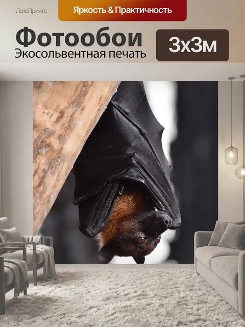 Фотообои Животное