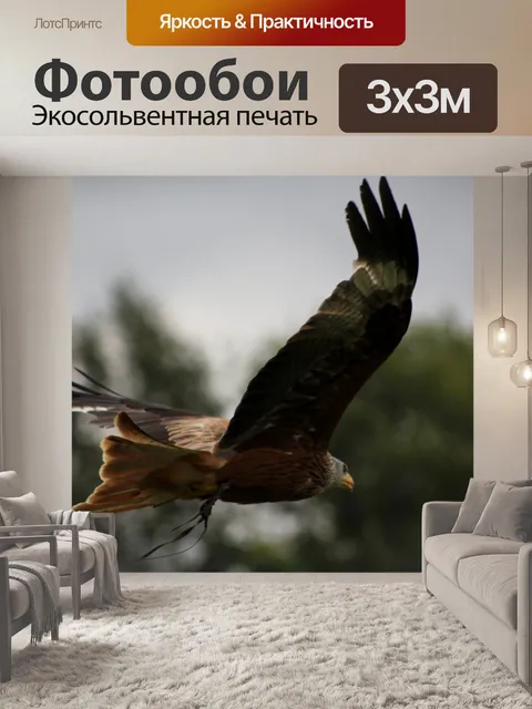 Фотообои Охотник