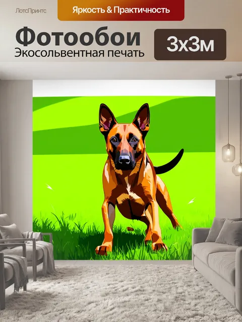 Фотообои изобразите бельгийскую овчарку малинуа, играющую на зеленом лугу в солнечный день