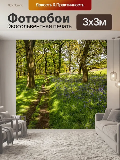 Фотообои Зеленый лес
