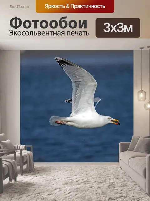 Фотообои Сельдь чайка