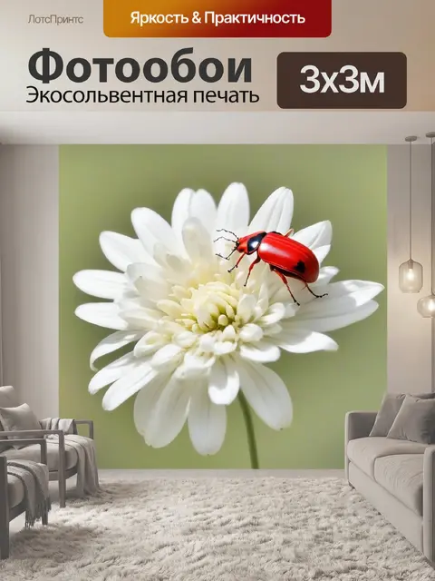Фотообои красный на маленьком белом цветке