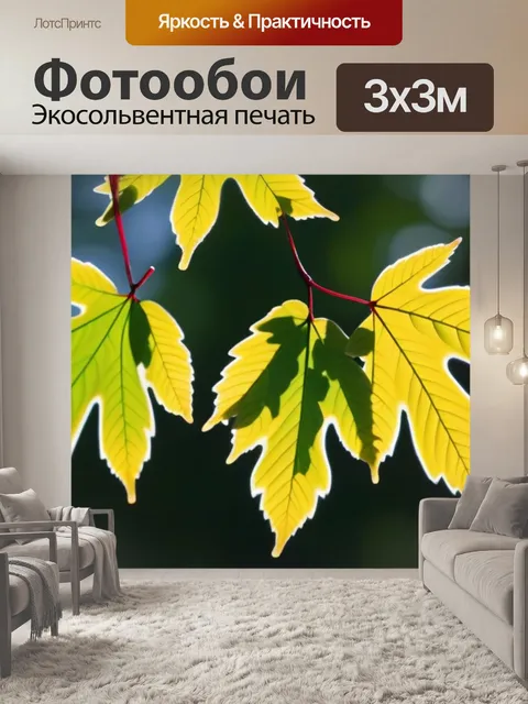 Фотообои листья березы, золотящиеся на солнце