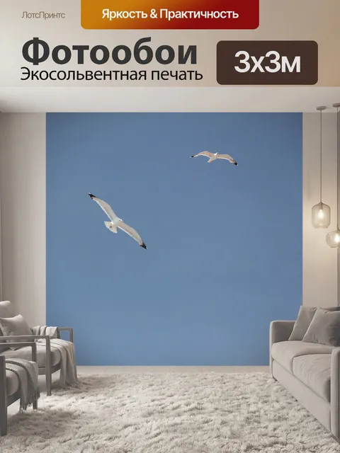 Фотообои Чайки