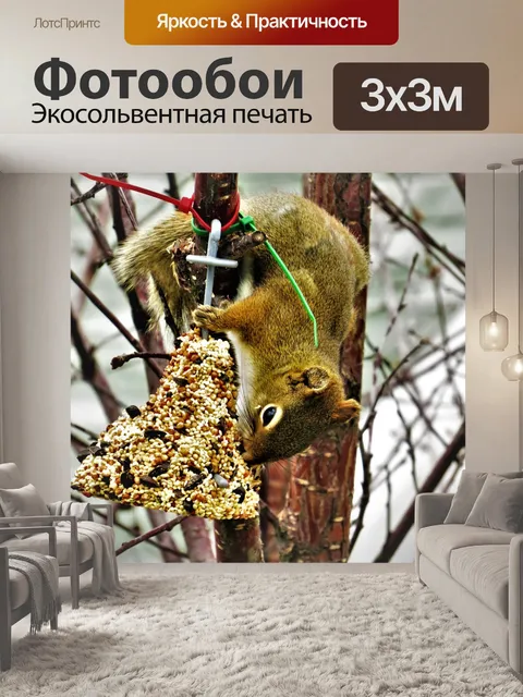 Фотообои Белка
