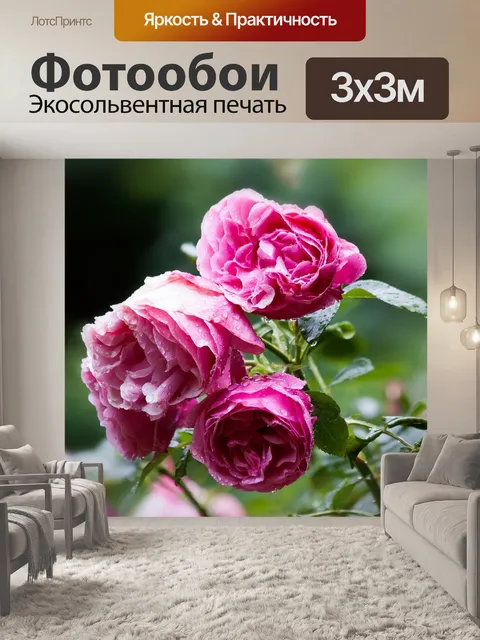 Фотообои Роза
