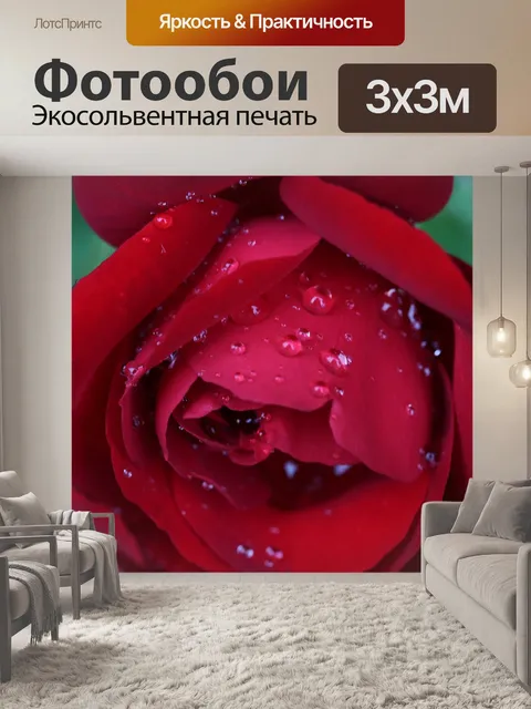 Фотообои Красная роза