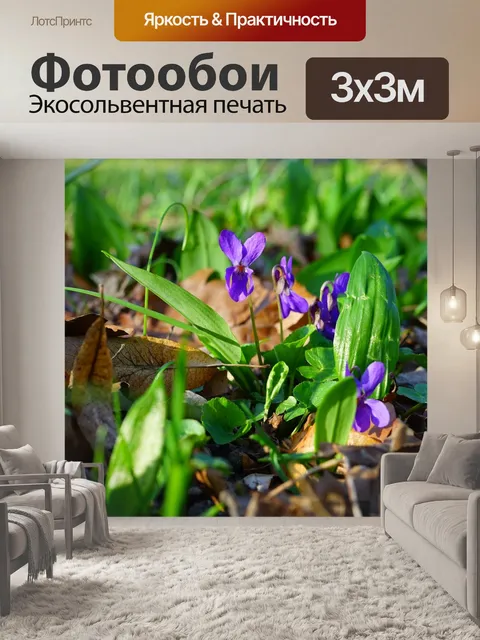 Фотообои Лесные фиалки