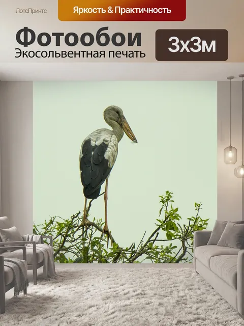 Фотообои Аист