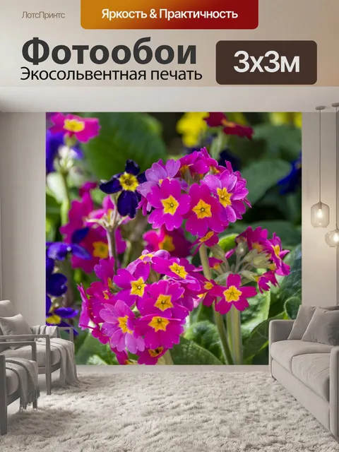 Фотообои цветы примулы