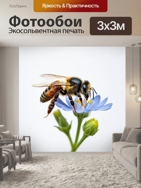 Фотообои пчела на белом фоне с нежными цветами