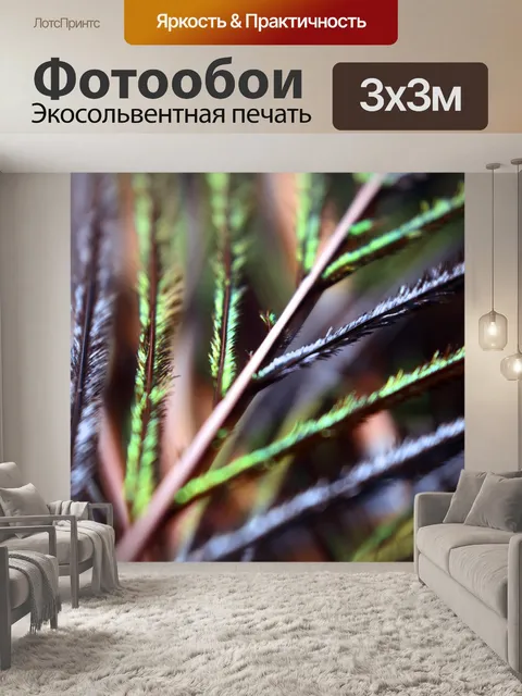 Фотообои Перья павлина 15