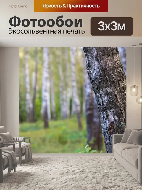 Фотообои Березы