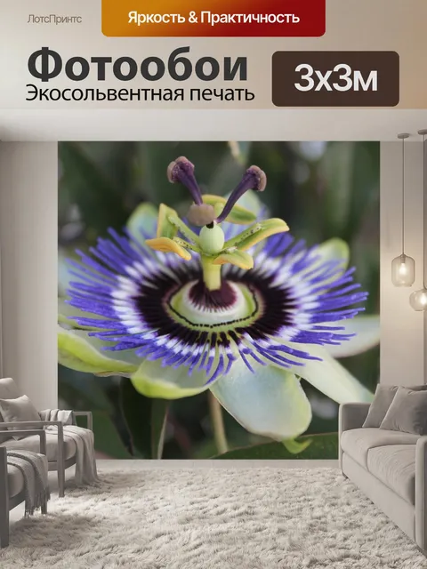 Фотообои Цветок