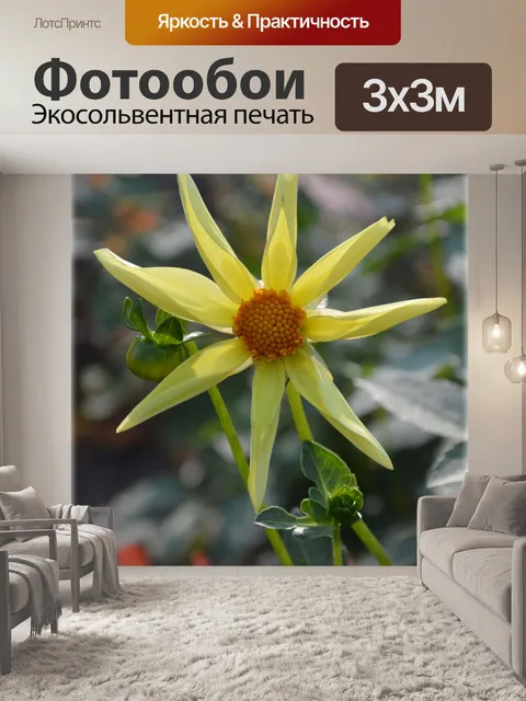 Фотообои Цветы 1,11