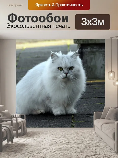 Фотообои Белая кошка