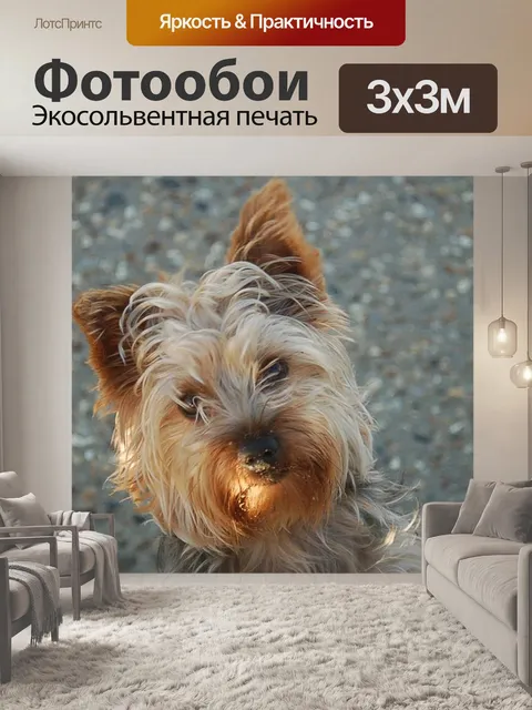 Фотообои Йоркширский терьер