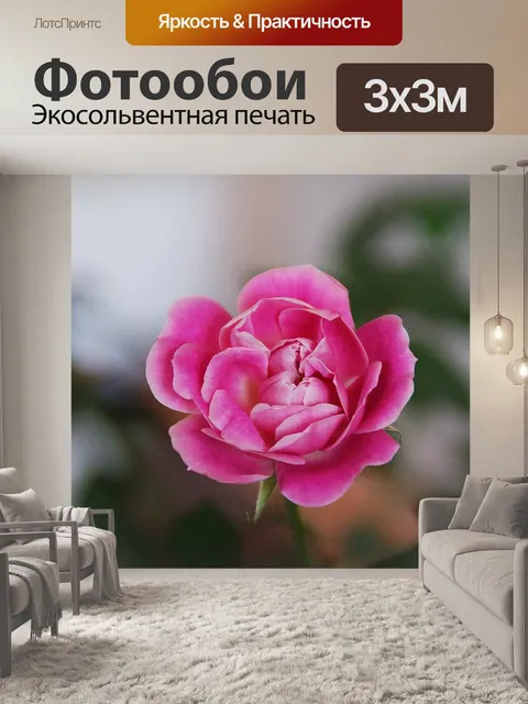 Фотообои Цветы