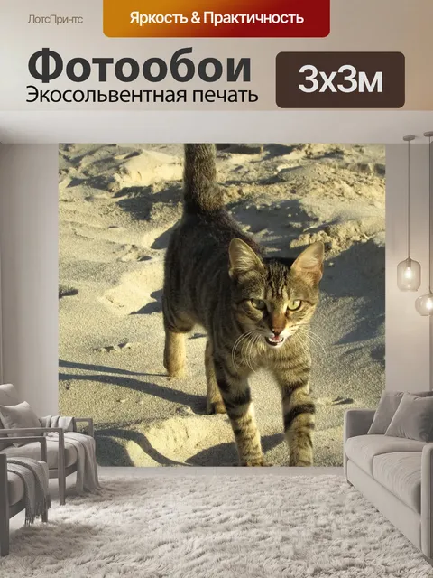 Фотообои Кошка