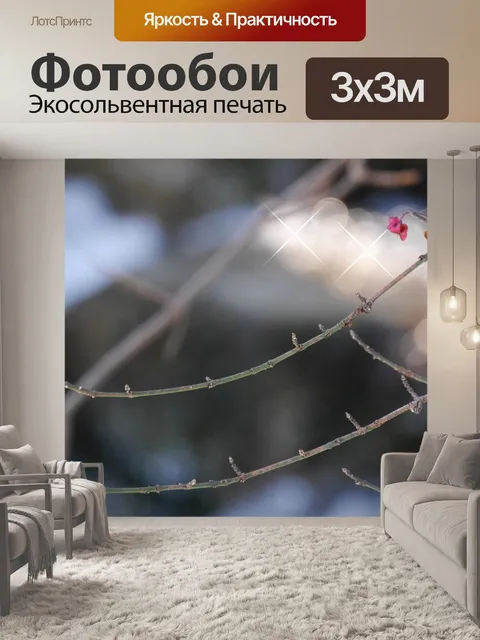 Фотообои Павлин
