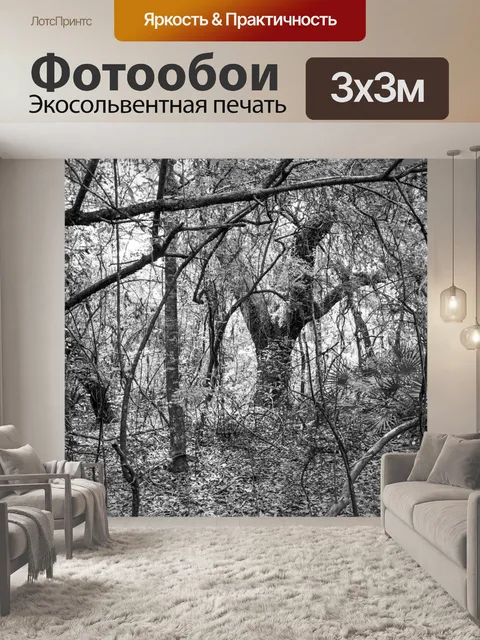 Фотообои Леса