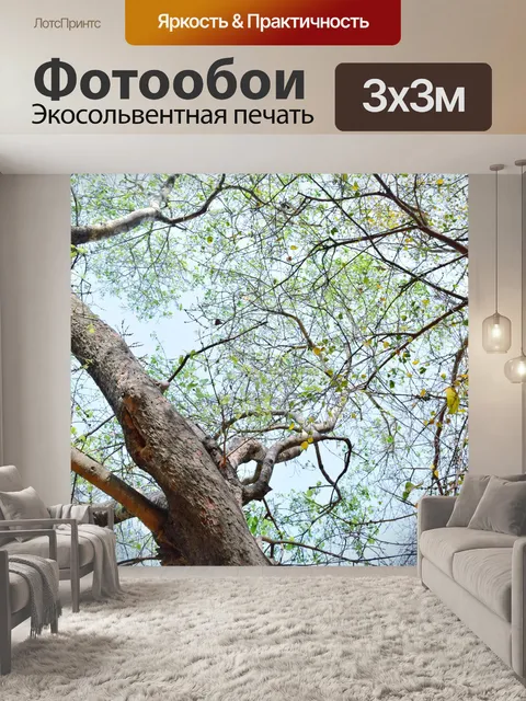 Фотообои Деревья и листья 56