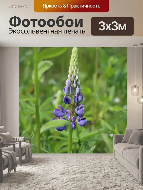 Фотообои люпин