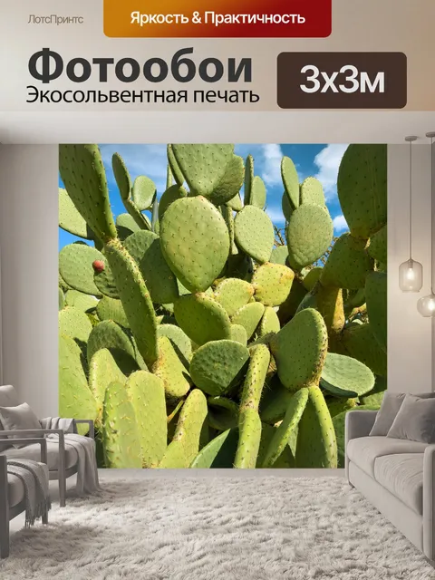 Фотообои опунция кактус