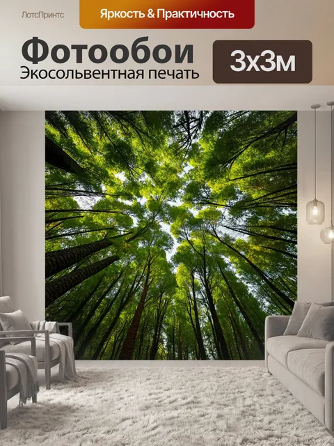 Фотообои лес, где ветры шепчут между ветвями деревьев