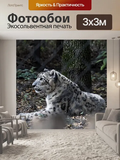 Фотообои Снежный барс