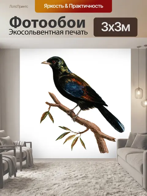 Фотообои Скворец Винтажное Искусство Птицы