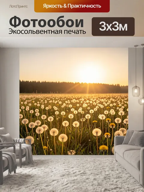 Фотообои Поле одуванчиков на закате