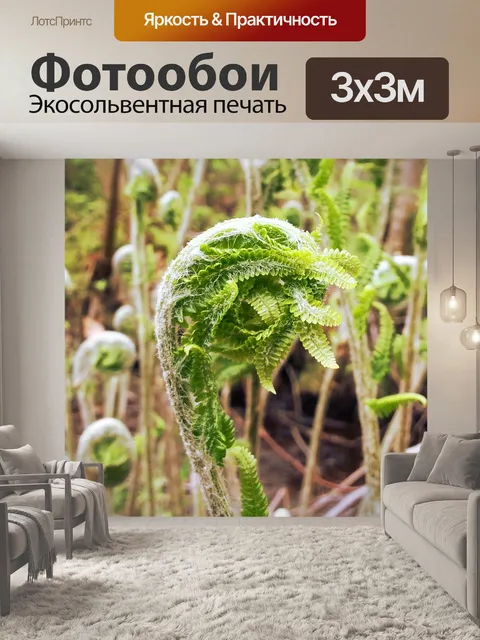 Фотообои Fiddleheads