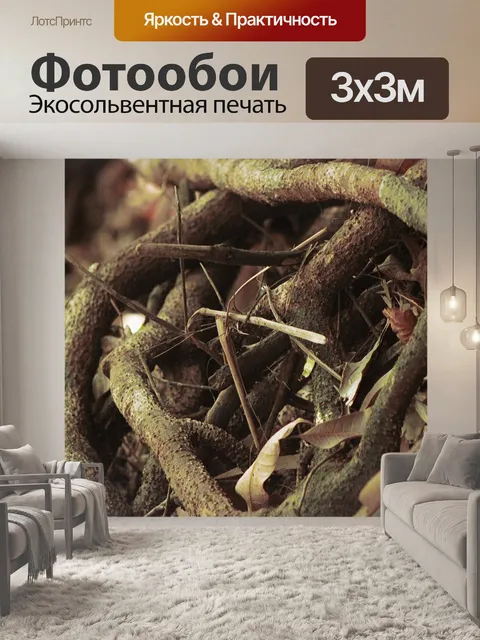 Фотообои Природа