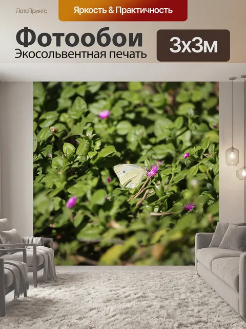 Фотообои Бабочка