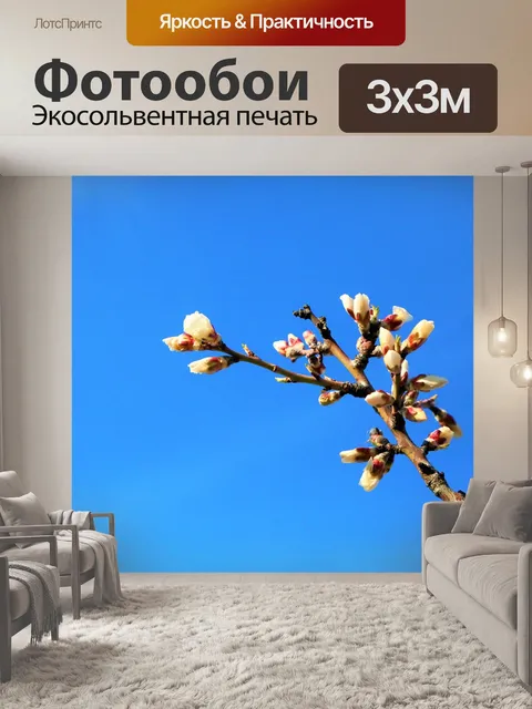 Фотообои Весна