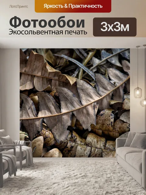 Фотообои Листья