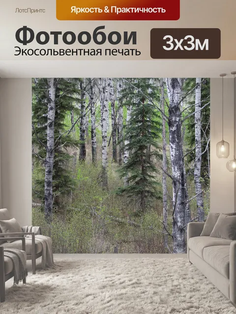 Фотообои Тополя