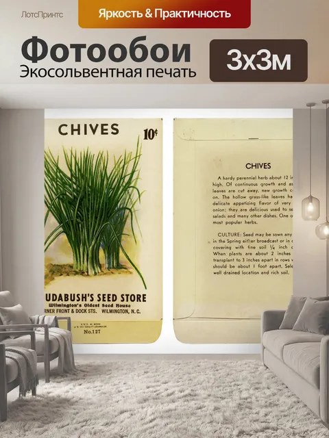 Фотообои Пакет с семенами Винтажный лук
