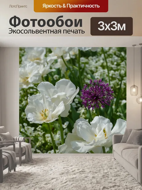 Фотообои Белые тюльпаны