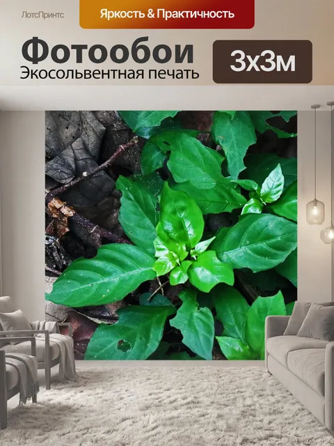 Фотообои контрастное зеленое растение