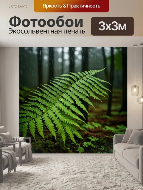 Фотообои папоротник в лесу в облачной погоде