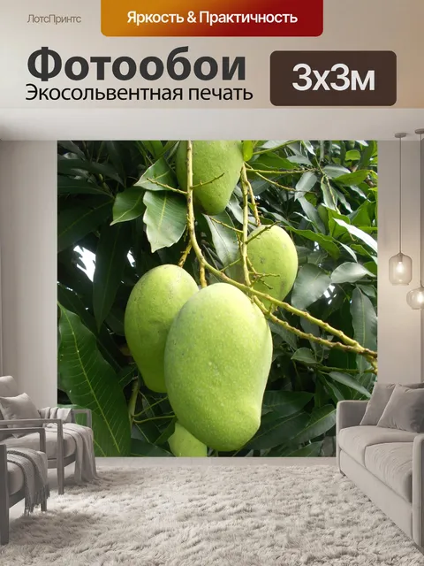 Фотообои Манго на тери