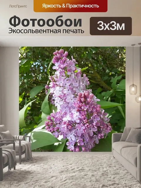 Фотообои Сирень
