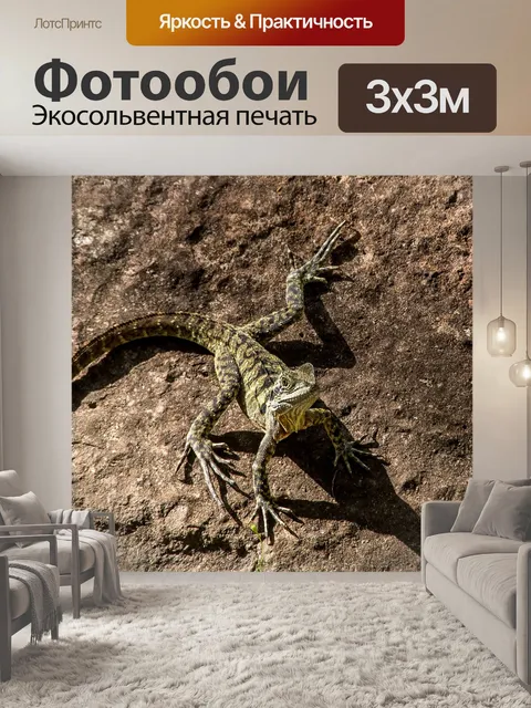 Фотообои Ящерица