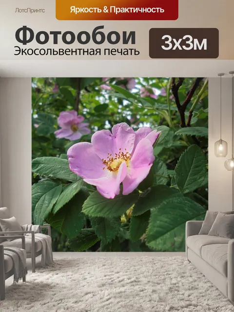 Фотообои Макро