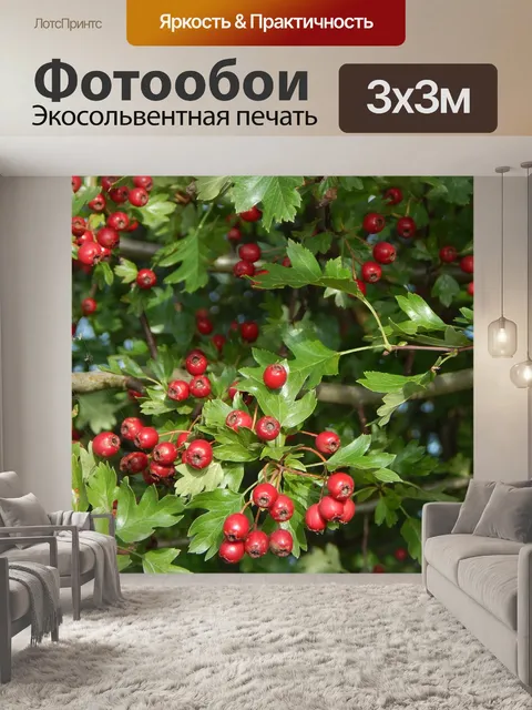 Фотообои Красные ягоды