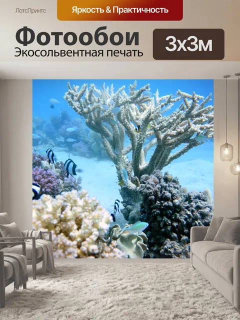 Фотообои Кораллы