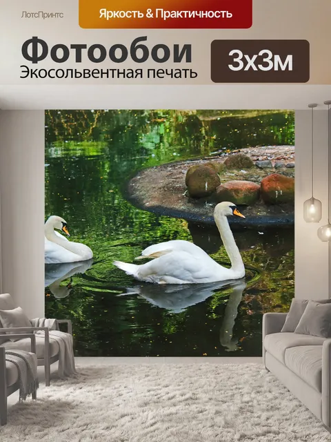 Фотообои два белых лебедя на пруду