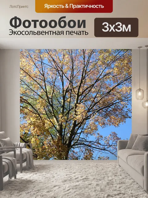 Фотообои Дерево